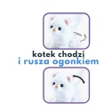 Kotek u lekarza