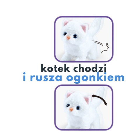 Kotek u lekarza